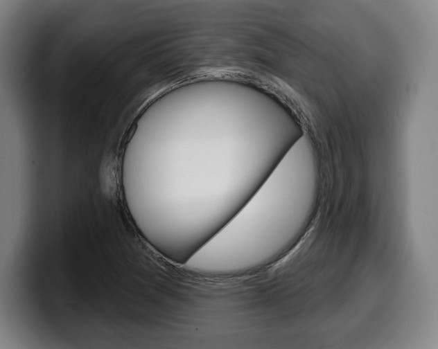 X0000099501361200805150940