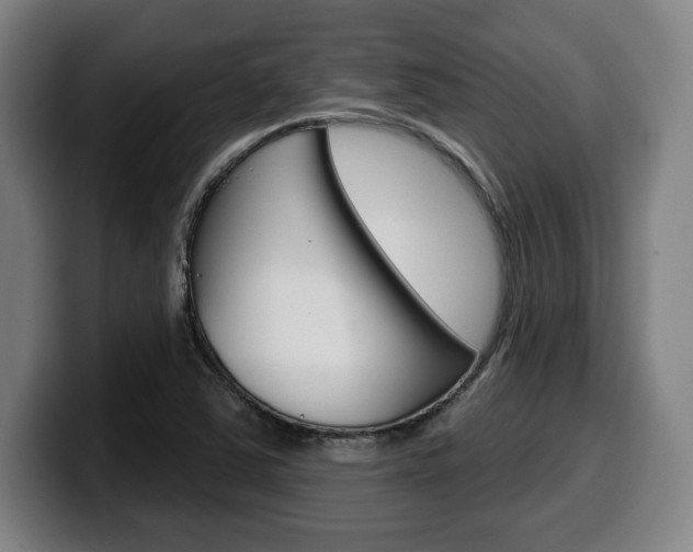X0000099501363200805150940