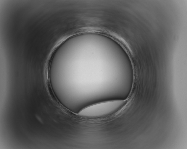 X0000099501365200805150940