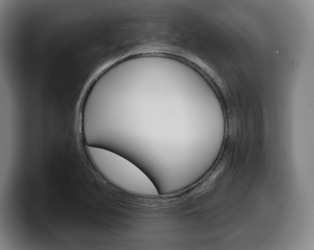 X0000099501366200805150940