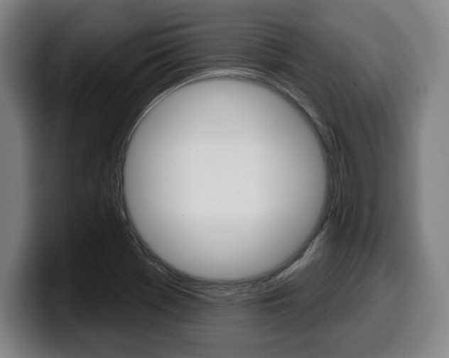 X0000099501369200805150940