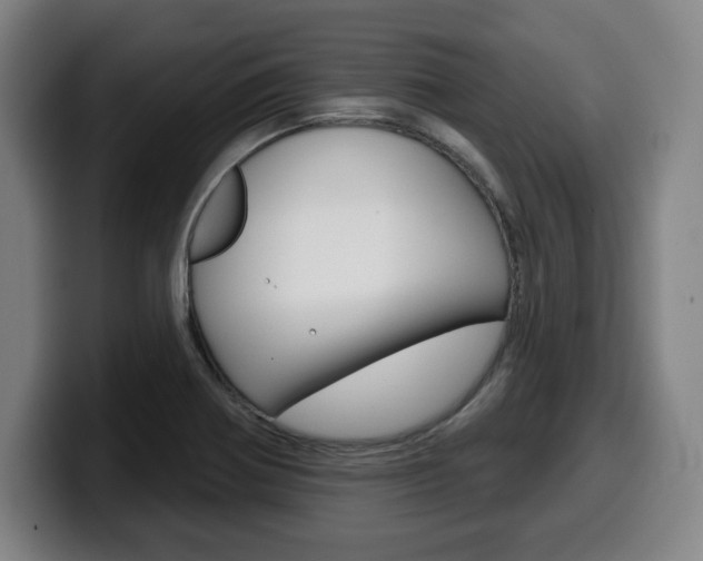 X0000099501370200805150940