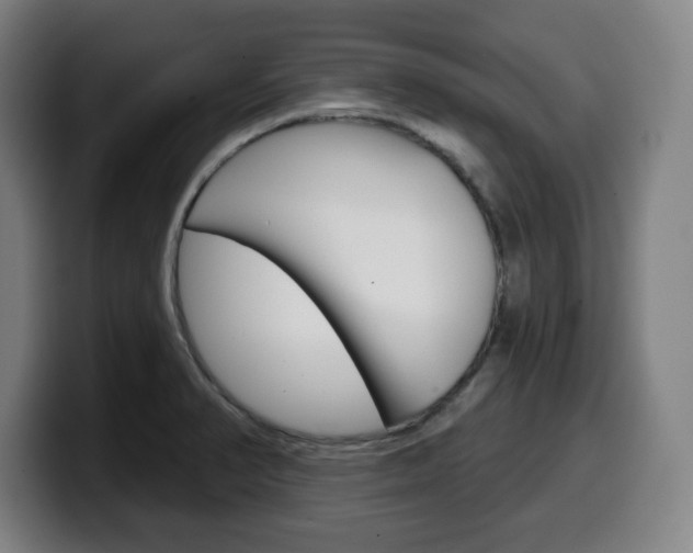 X0000099501374200805150940