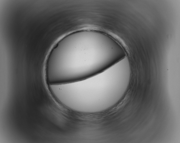 X0000099501375200805150940