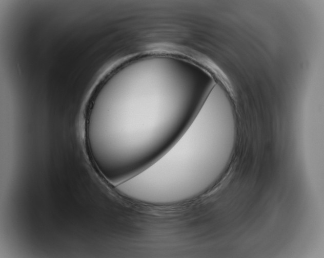 X0000099501376200805150940