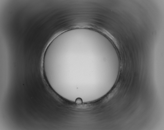 X0000099501378200805150940