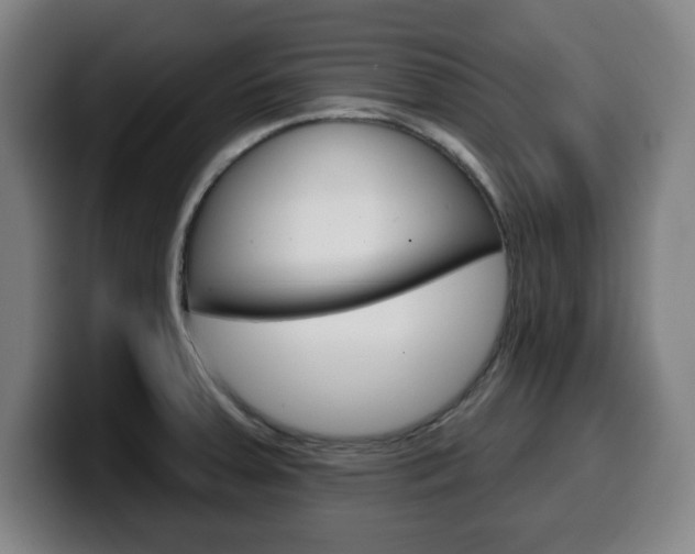 X0000099501379200805150940