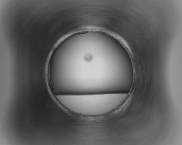 X0000099501381200805150940