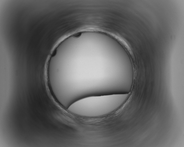 X0000099501382200805150940