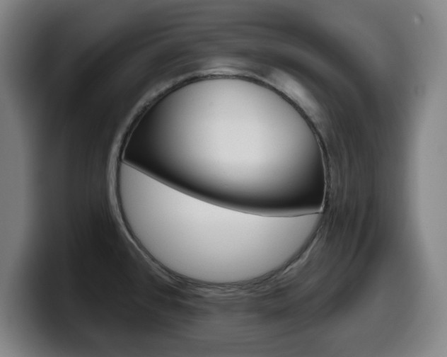 X0000099501384200805150940