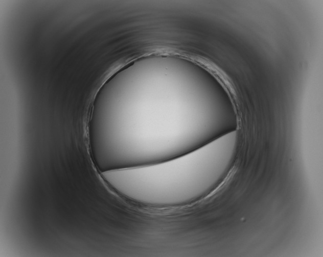X0000099501385200805150940