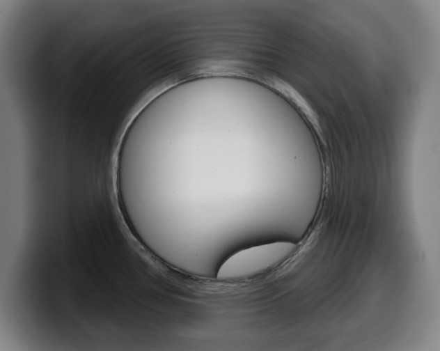 X0000099501386200805150940