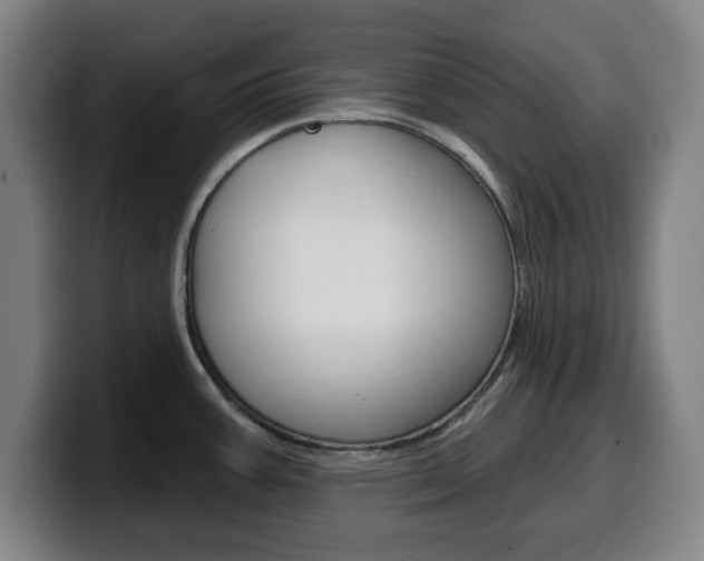 X0000099501387200805150940