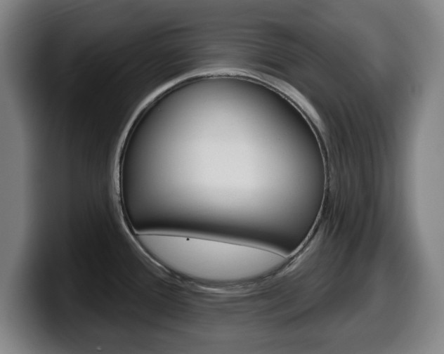 X0000099501388200805150940