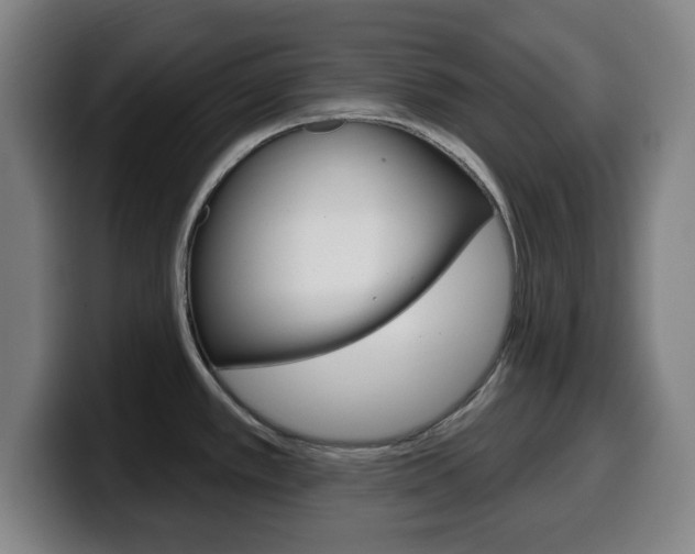 X0000099501389200805150940