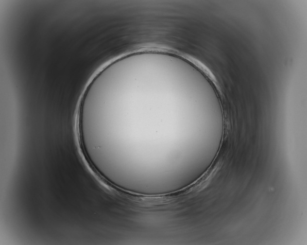 X0000099501391200805150940