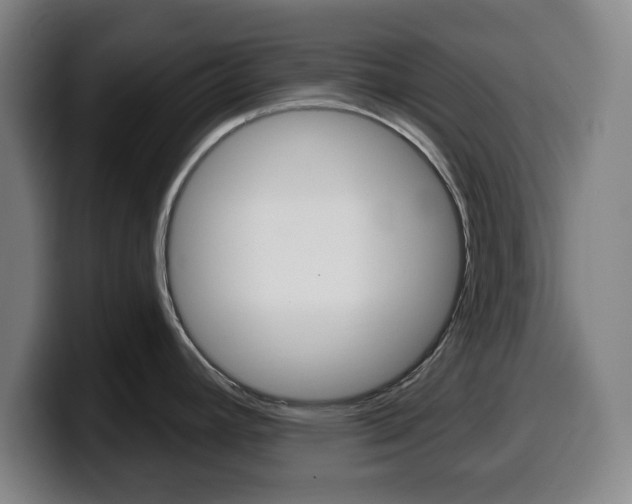 X0000099501392200805150940