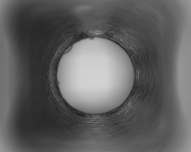 X0000099501393200805150939