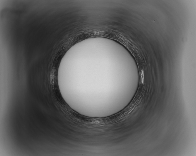 X0000099501395200805150939