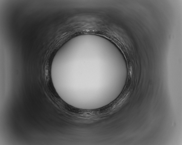 X0000099501396200805150939