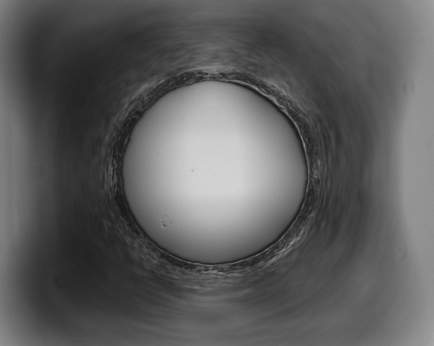 X0000099501398200805150939