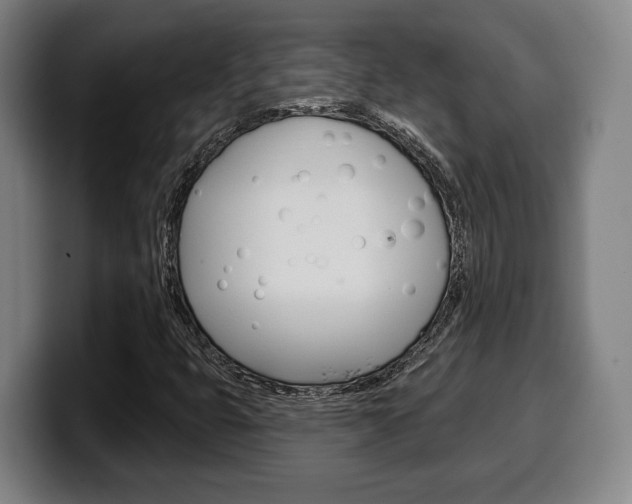 X0000099501399200805150939