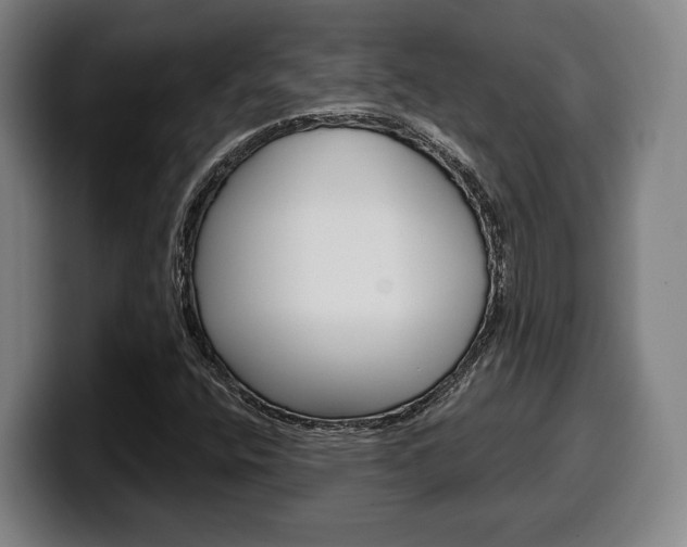 X0000099501400200805150939