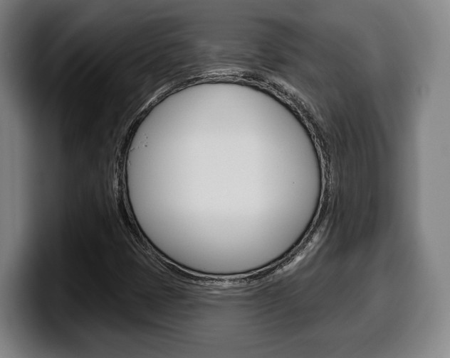 X0000099501401200805150939