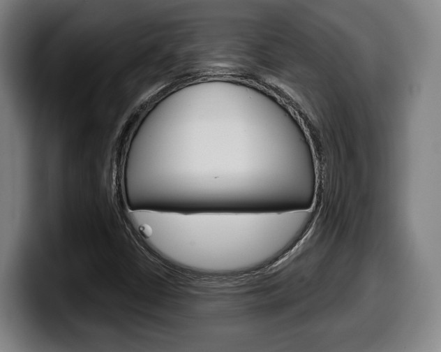 X0000099501402200805150939