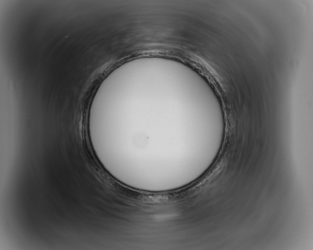 X0000099501403200805150939