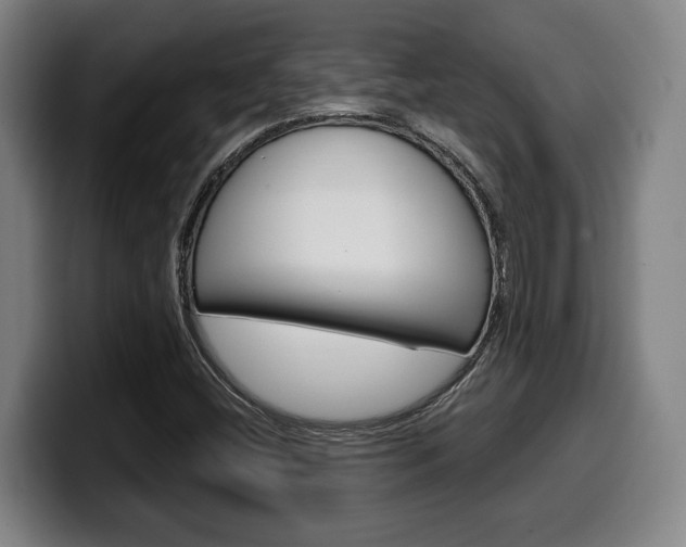 X0000099501404200805150939