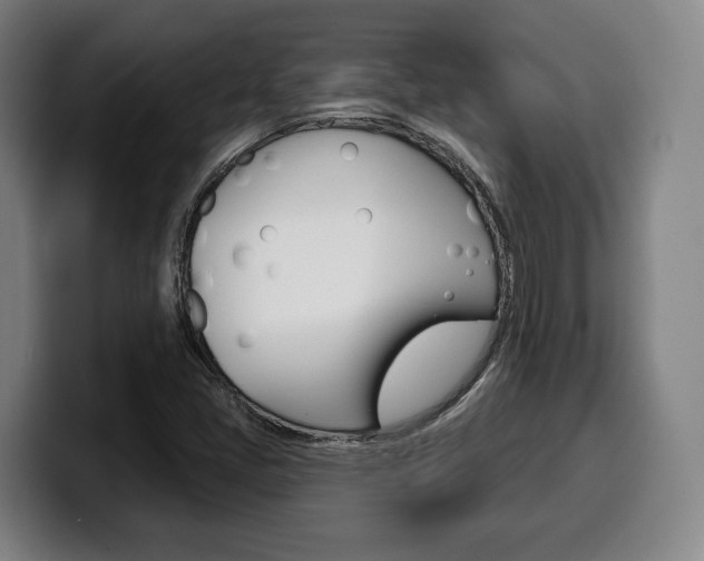 X0000099501405200805150939