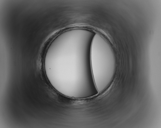 X0000099501406200805150940
