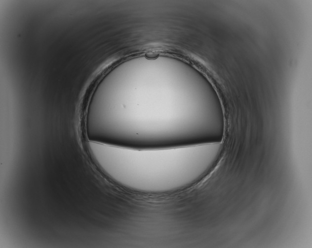 X0000099501410200805150940