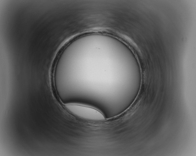 X0000099501412200805150940