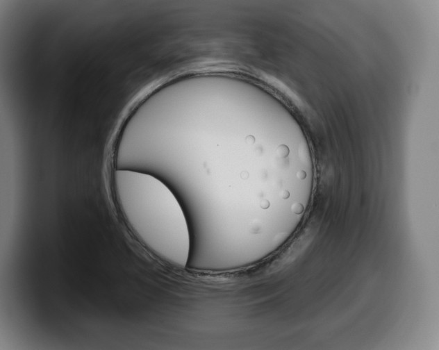 X0000099501413200805150940