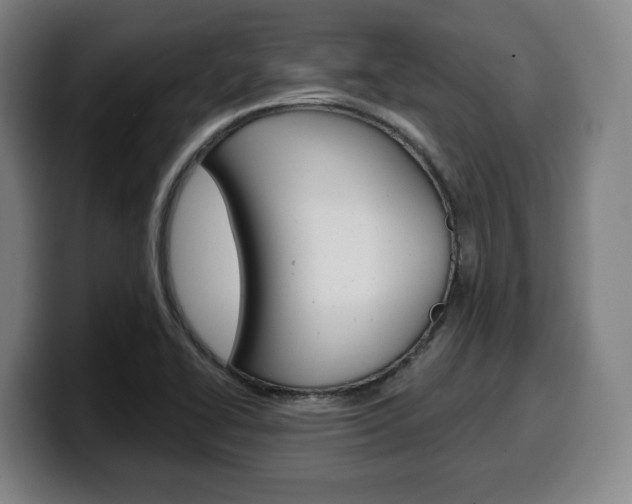 X0000099501414200805150940