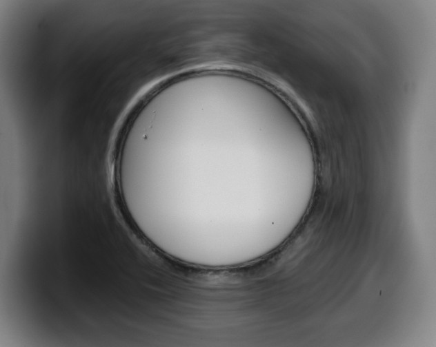 X0000099501416200805150940