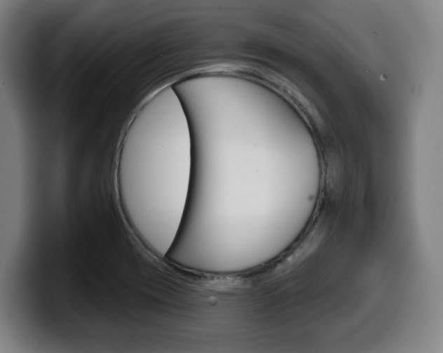 X0000099501417200805150940