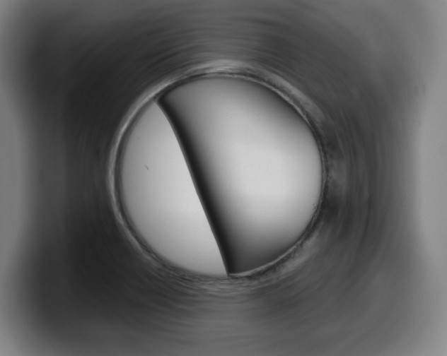 X0000099501418200805150940