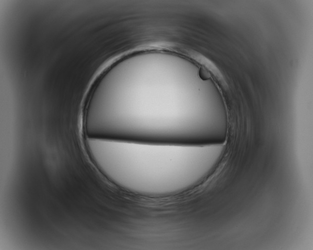 X0000099501420200805150940