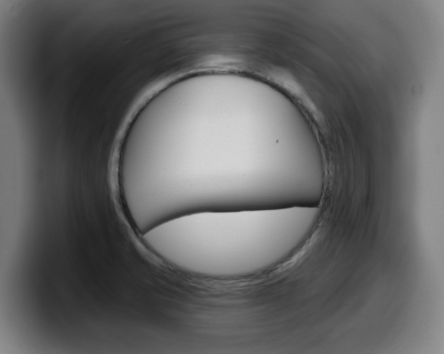 X0000099501421200805150940