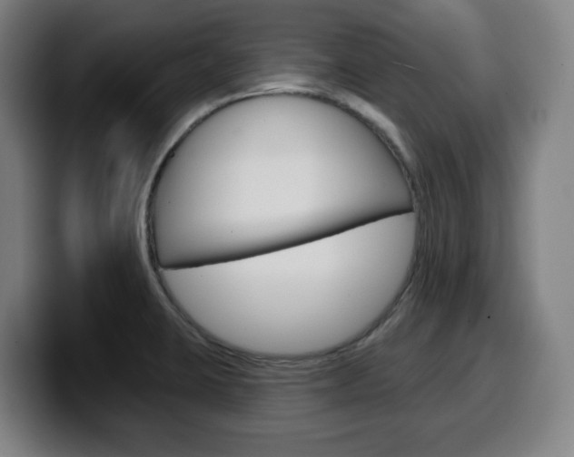 X0000099501423200805150940