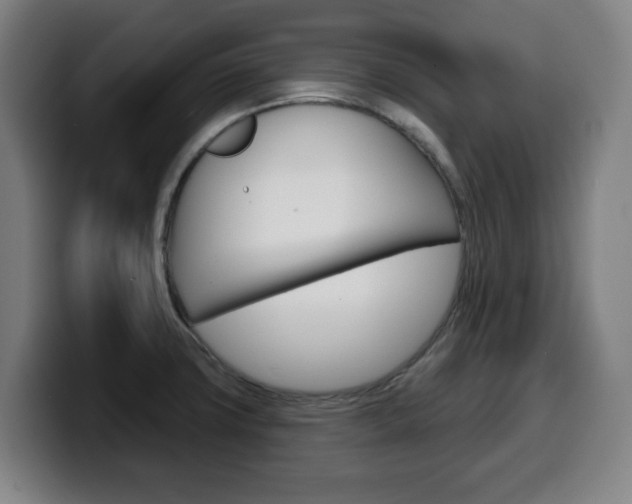 X0000099501427200805150940