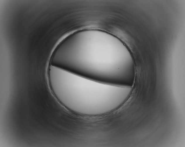X0000099501428200805150940