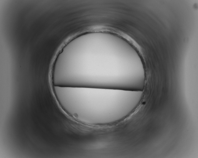 X0000099501429200805150940