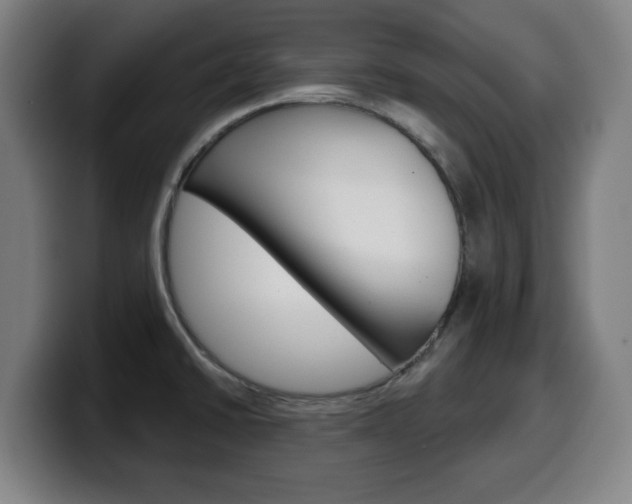 X0000099501430200805150940