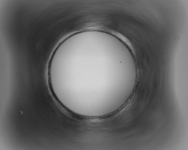 X0000099501431200805150940