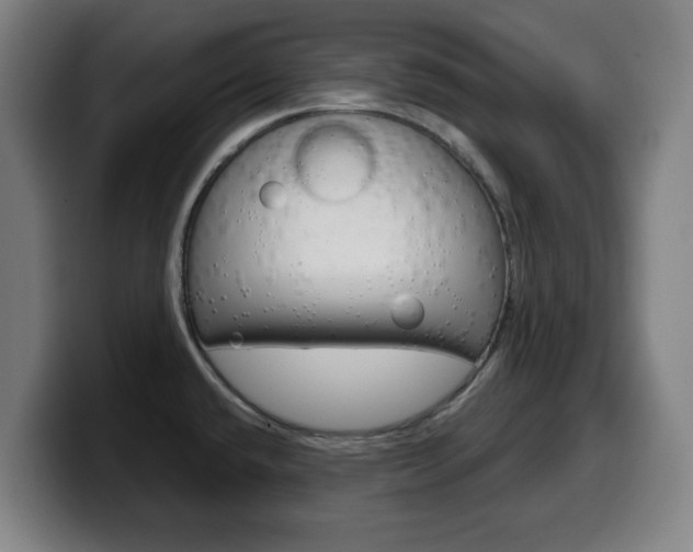 X0000099501432200805150940