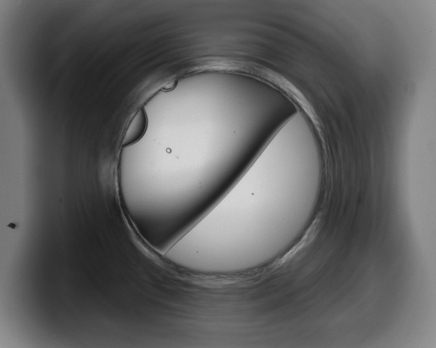X0000099501433200805150940